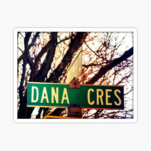 Dana, A gift for Dana, Dana street sign, Birthday gift for Dana Sticker