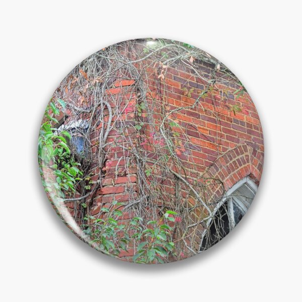 Item preview, Tabernacle Baptist Church Ruins Blackville Sc 2 designed and sold by LisaWootenPhoto.