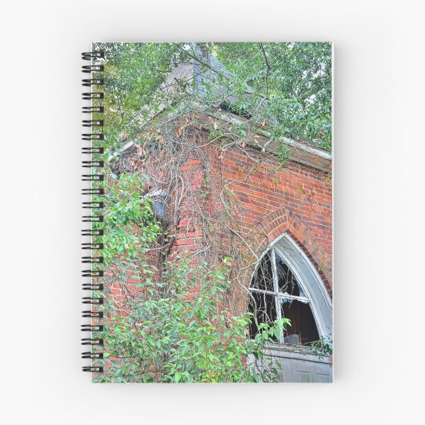 Aperçu de l'œuvre Ruines de l'église baptiste du Tabernacle Blackville Sc 2 créée et vendue par LisaWootenPhoto.