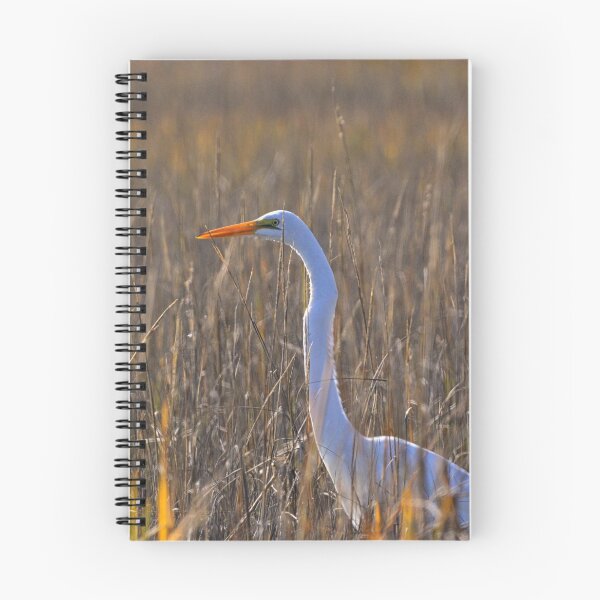 Item preview, Egret Among The Reeds designed and sold by LisaWootenPhoto.