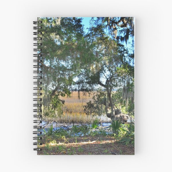 Item preview, Peek A Boo View Of The Marsh designed and sold by LisaWootenPhoto.
