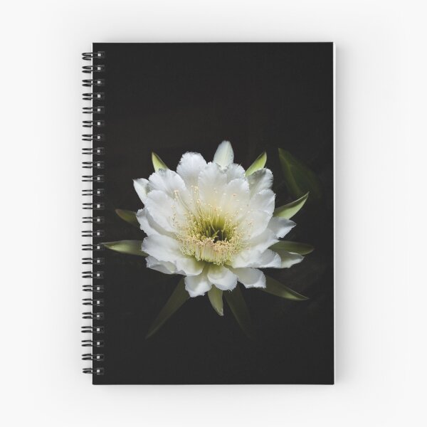 Item preview, Radial Opening designed and sold by Mario Morales Rubi.