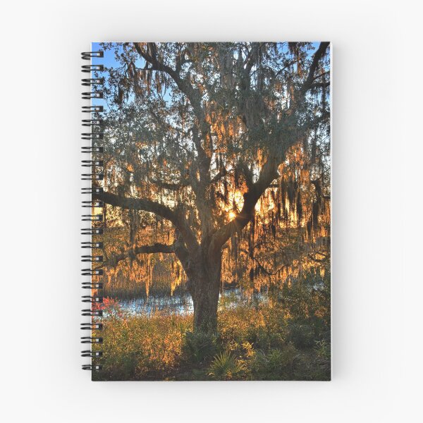 Item preview, Sunrise Through The Oak Tree designed and sold by LisaWootenPhoto.