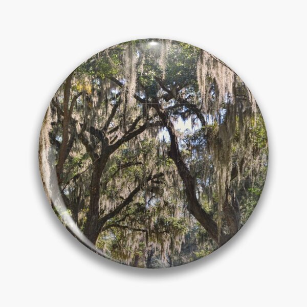 Item preview, The Entrance To Old House Plantation Beaufort South Carolina designed and sold by LisaWootenPhoto.