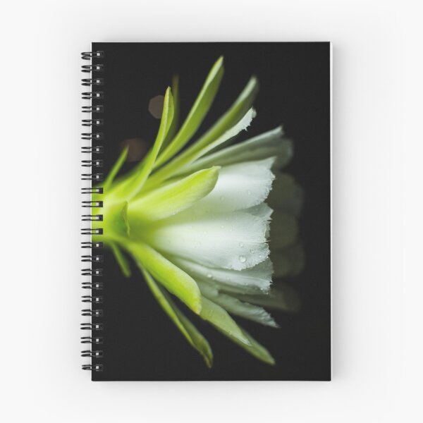 Item preview, The Night Cactus designed and sold by Mario Morales Rubi.