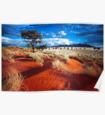 Dancing Grasses on the Red, Red Earth Poster