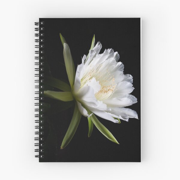 Item preview, Bloom This Night designed and sold by Mario Morales Rubi.