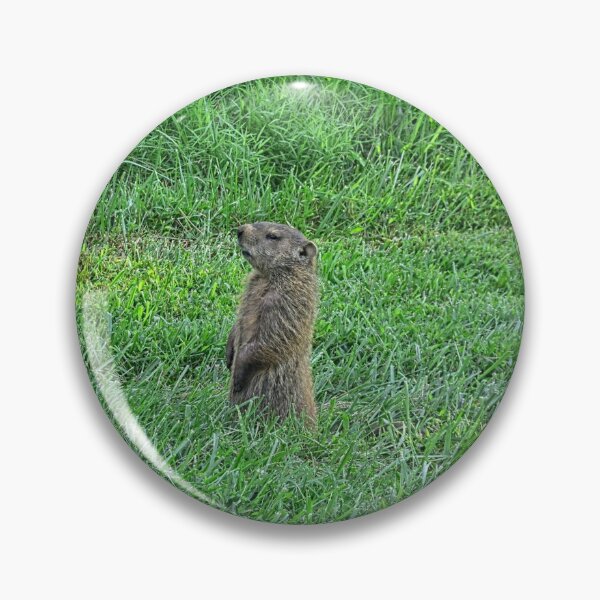 Item preview, Ground Hog designed and sold by LisaWootenPhoto.
