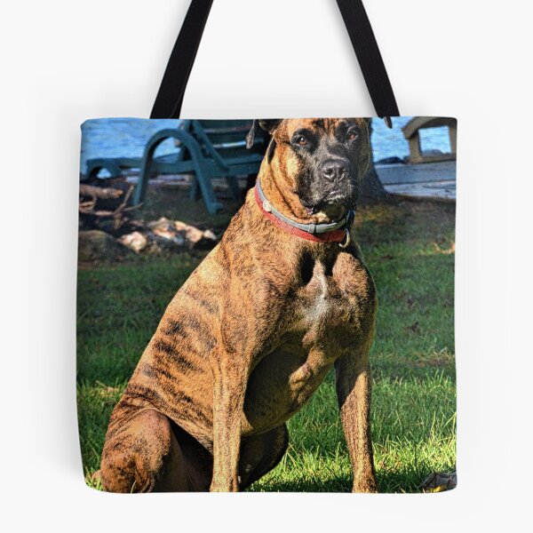 Item preview, Brindle Boxer Beauty designed and sold by LisaWootenPhoto.