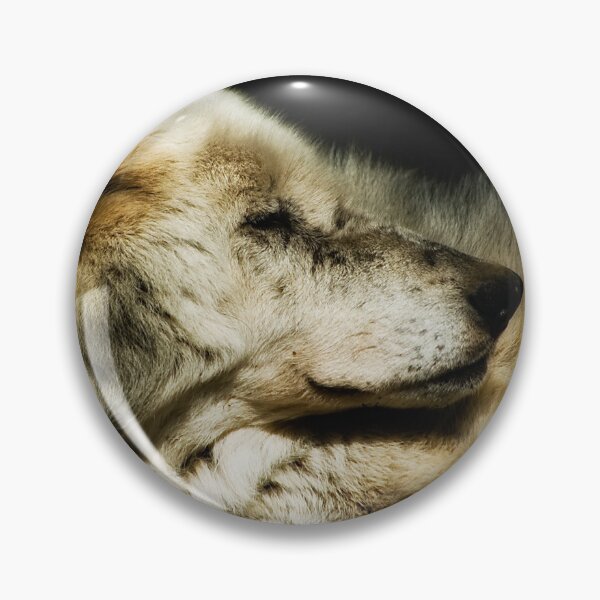Item preview, Grey Wolf Resting designed and sold by Jay Lethbridge.