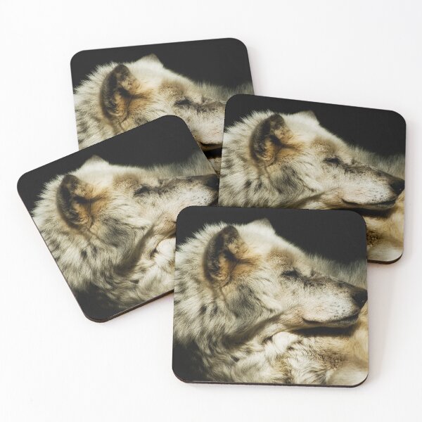 Item preview, Grey Wolf Resting designed and sold by Jay Lethbridge.