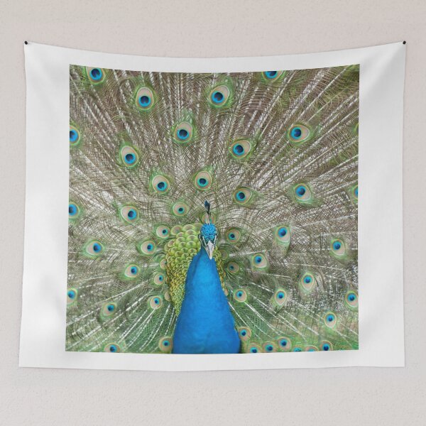 Item preview, Peacock Scarf designed and sold by barnsis.