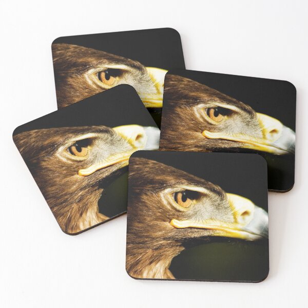 Item preview, Eagle Eye - Steppes Eagle profile designed and sold by Jay Lethbridge.