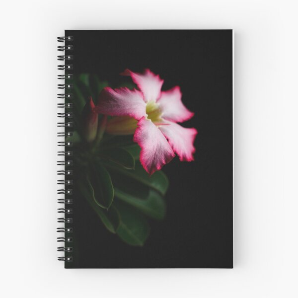 Item preview, Pink Sense designed and sold by Mario Morales Rubi.