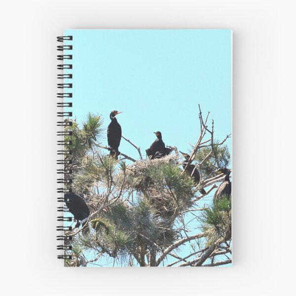 Item preview, Cormorants And A Heron designed and sold by LisaWootenPhoto.