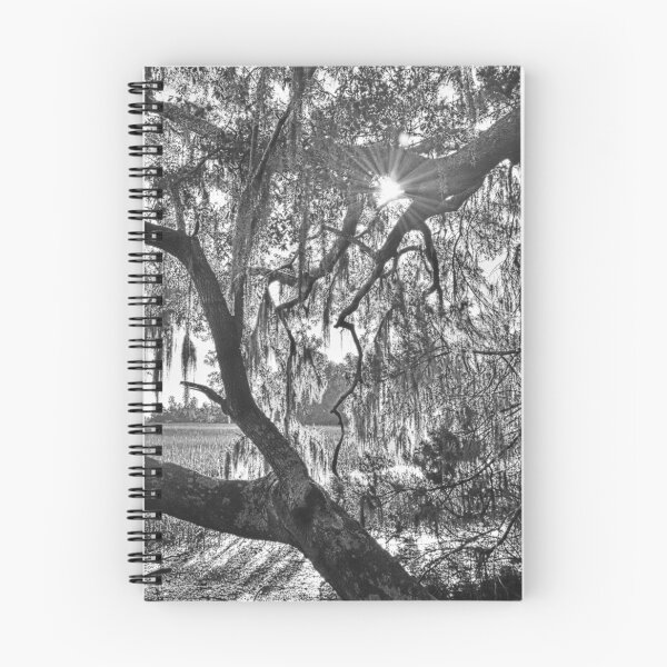 Item preview, Sunburst Through The Oak Trees Black And White designed and sold by LisaWootenPhoto.