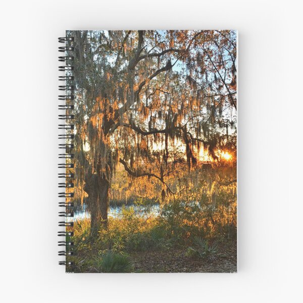 Item preview, Marsh Sunrise Vertical designed and sold by LisaWootenPhoto.