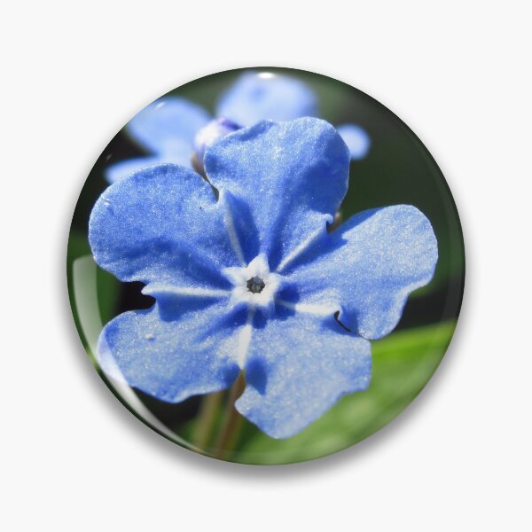 Item preview, Forget-me-not, blue flower designed and sold by rhnaturestyles.