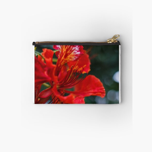 Item preview, Soft Joy designed and sold by Mario Morales Rubi.