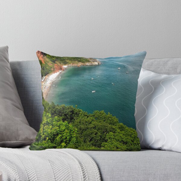 Aperçu de l'œuvre Plage d'Oddicombe, Torquay créée et vendue par Jay Lethbridge.