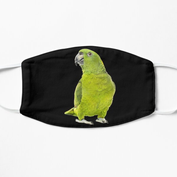 Download Yellow Nape Amazon Parrot Mask By Ccfactory Redbubble PSD Mockup Templates