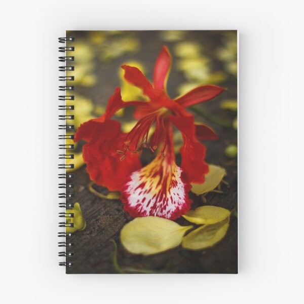 Item preview, Mayan Spring designed and sold by Mario Morales Rubi.