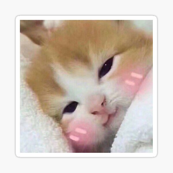 "Blush Cat Neko Kitty" Sticker by lilneko Redbubble