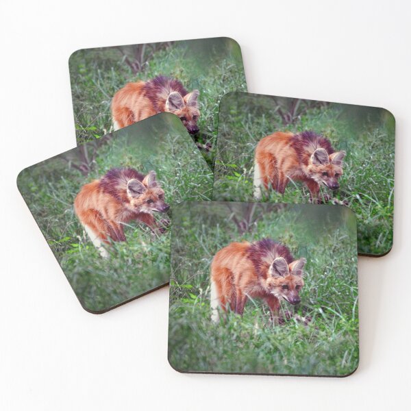 Item preview, Hyena designed and sold by Savannah Gibbs.