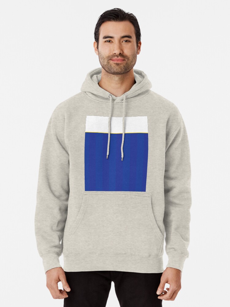 champion hoodie blue and white