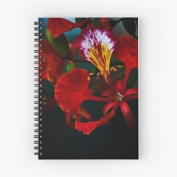 Item preview, Encendido designed and sold by Mario Morales Rubi.