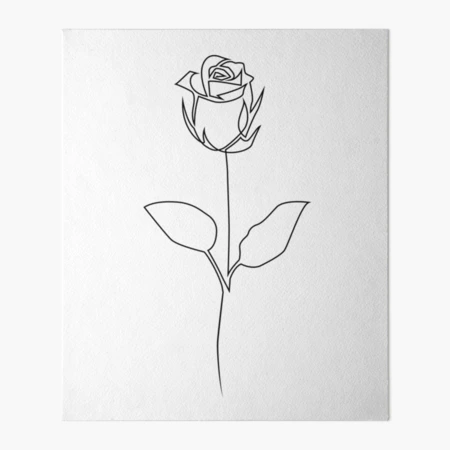 Premium Vector | Rose flower line art continuous one line drawing