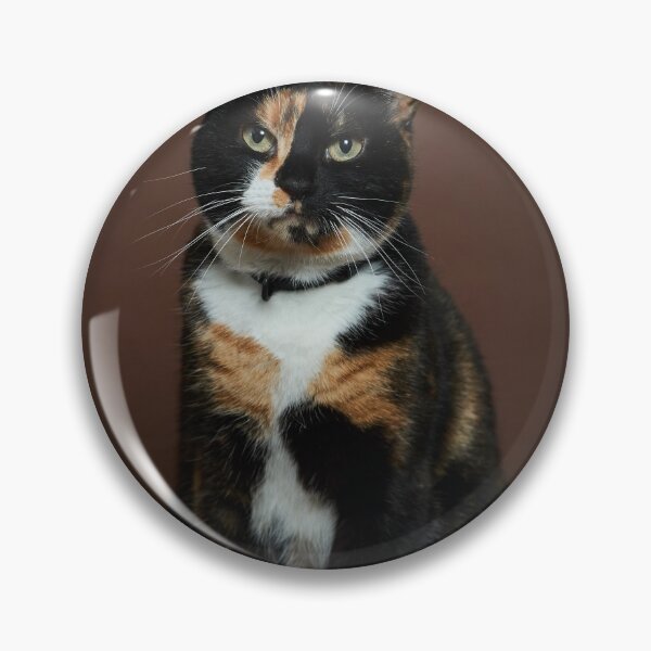 Item preview, Grumpy Tortoiseshell Cat Portrait  designed and sold by sallyrose1.