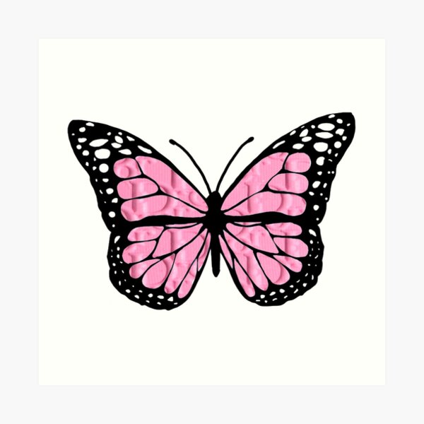 designer butterfly "D" Art Print