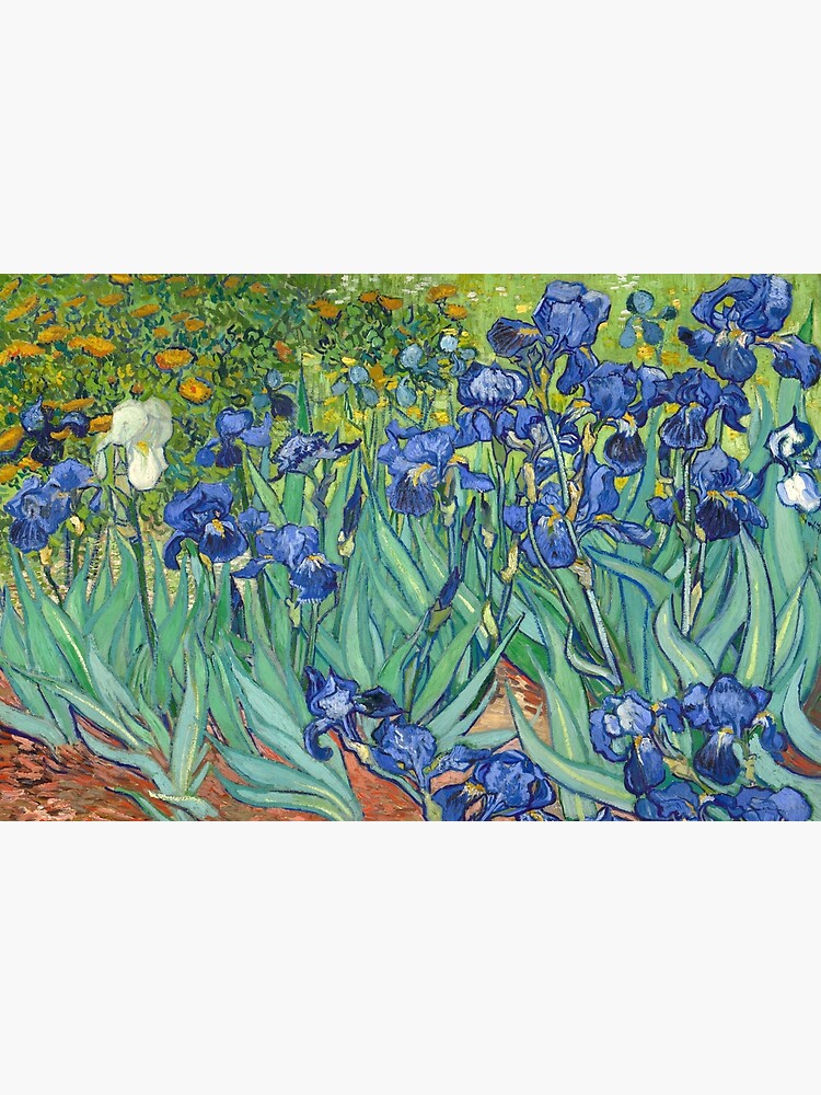 Vincent Van Gogh's Iris by fourretout