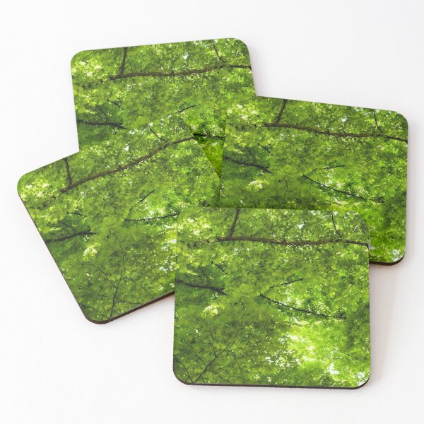 Item preview, Canopy of a tree designed and sold by ToniStauche.