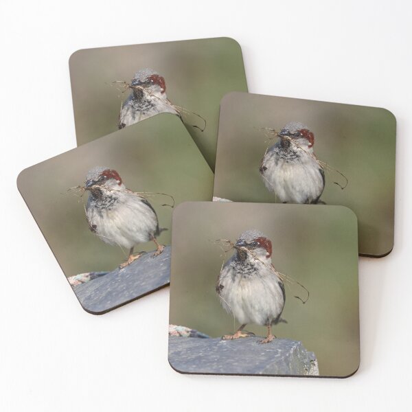 Item preview, Nesting season designed and sold by GreyFeatherPhot.