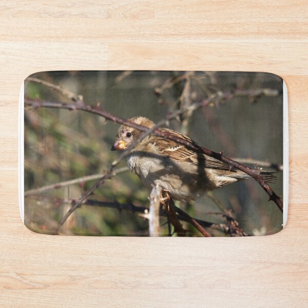 Item preview, Hidden in brambles designed and sold by GreyFeatherPhot.
