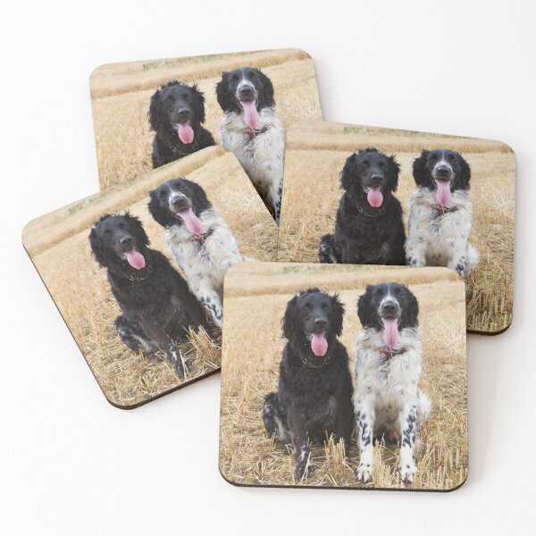 Item preview, Gundogs - Quinn and Aran Large Munsterlanders - If you would like to see your dog or pet on these products get in touch and I will happily look at doing that for you.  designed and sold by Latch Farm  Studios.