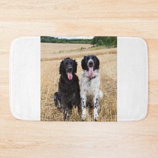 Item preview, Gundogs - Quinn and Aran Large Munsterlanders - If you would like to see your dog or pet on these products get in touch and I will happily look at doing that for you.  designed and sold by Latch Farm  Studios.