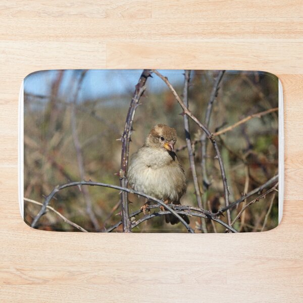 Item preview, Female house sparrow designed and sold by GreyFeatherPhot.
