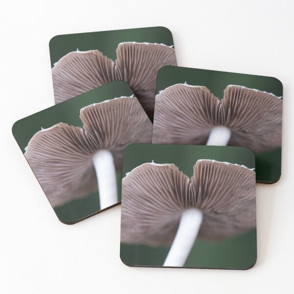 Item preview, Mushroom Flight designed and sold by tasturm1.