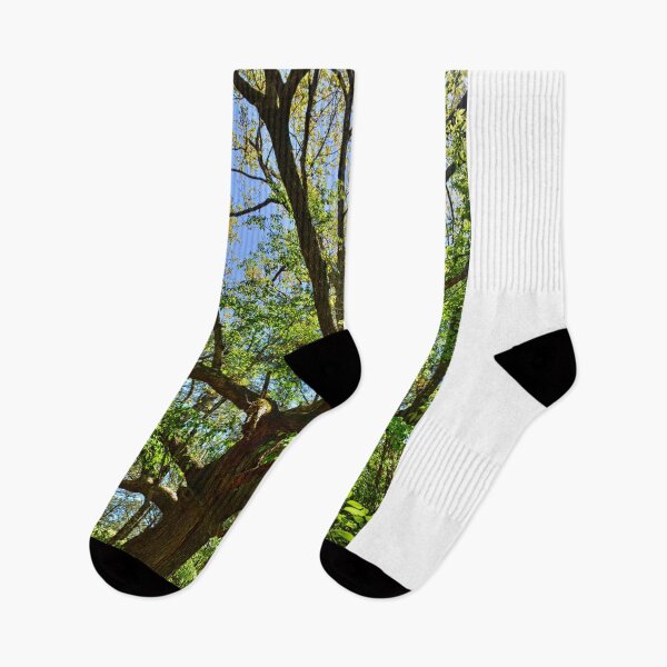 Item preview, A Tree Among Trees designed and sold by LisaWootenPhoto.