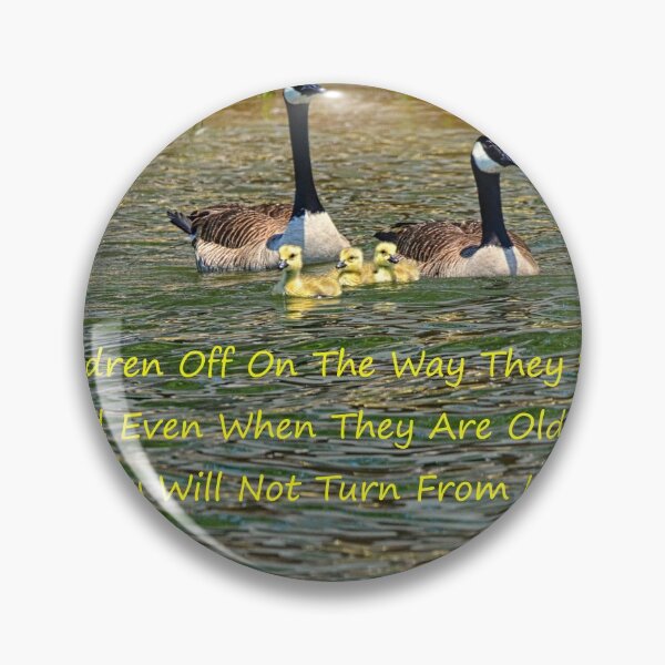 Item preview, A Family Of Geese Proverbs 22:6 designed and sold by LisaWootenPhoto.