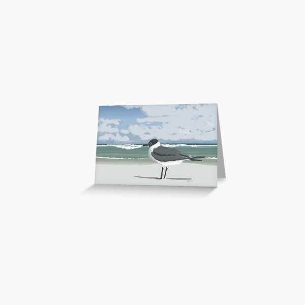 Laughing Gull On Beach Greeting Card