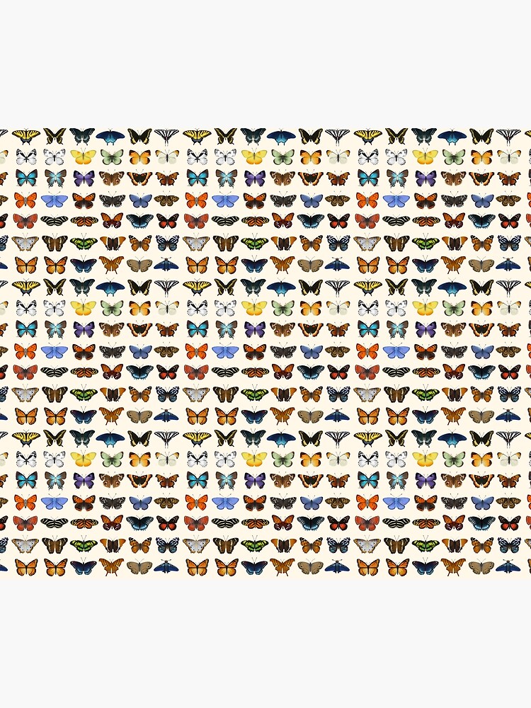 Butterflies of North America by EleanorLutz