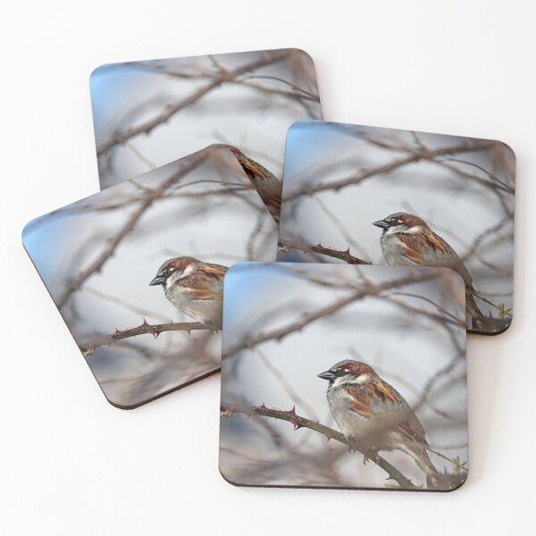 Item preview, House sparrow in brambles designed and sold by GreyFeatherPhot.