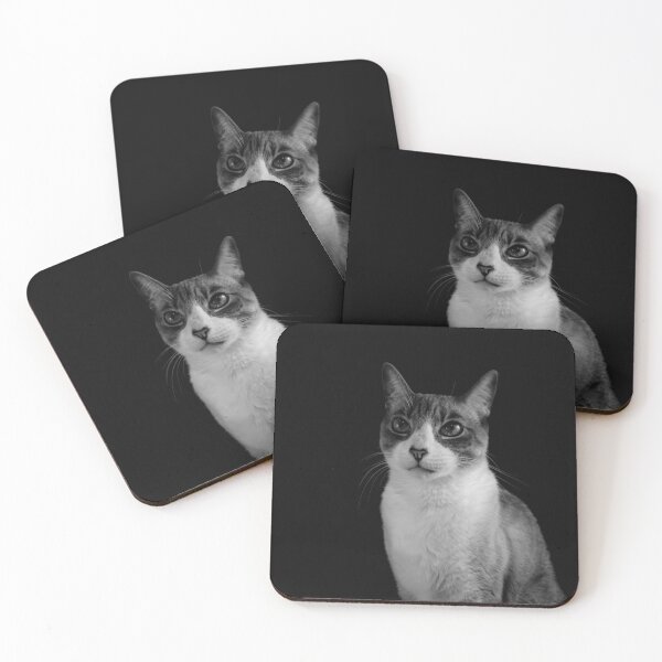 Item preview, You got to be kitten me designed and sold by christinaabken.