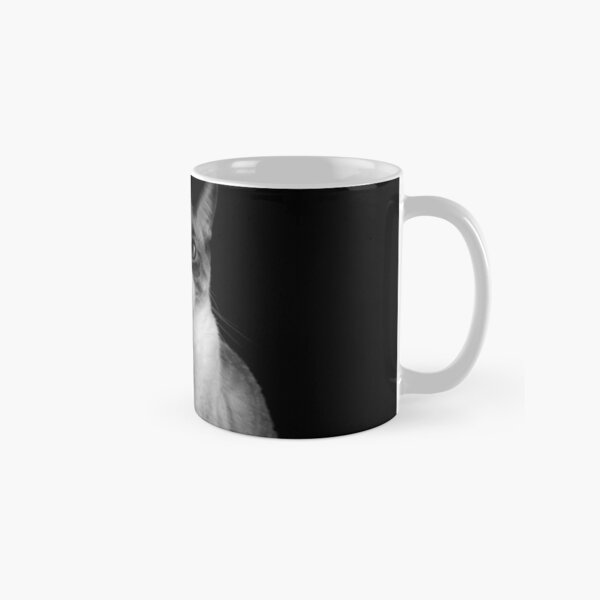 You got to be kitten me Classic Mug