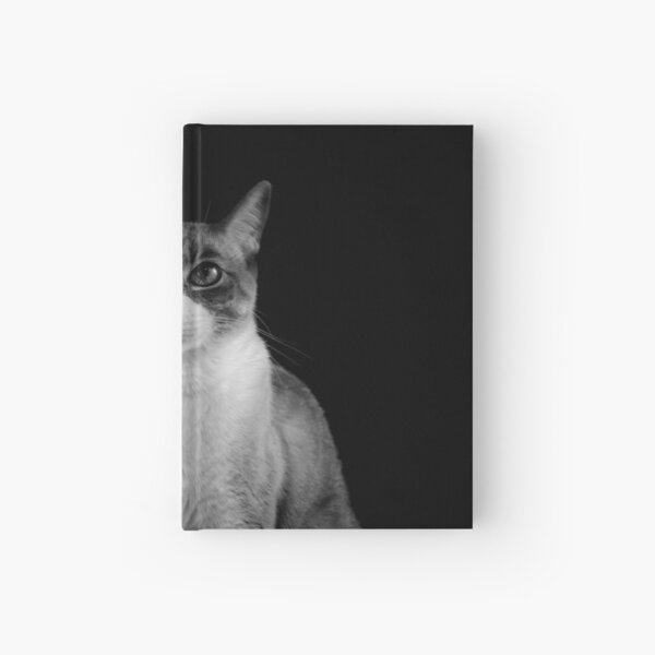 You got to be kitten me Hardcover Journal