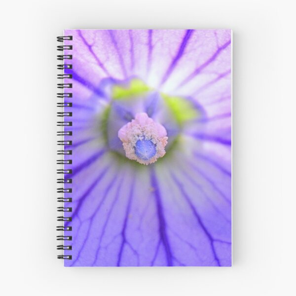 Item preview, Morning Glory designed and sold by LisaWootenPhoto.